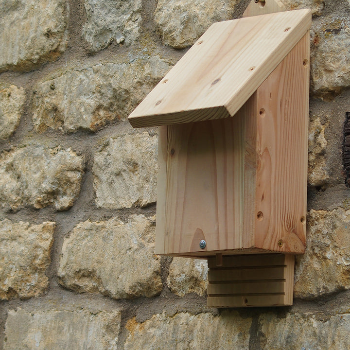 Wildlife World Chavenage Bat Box