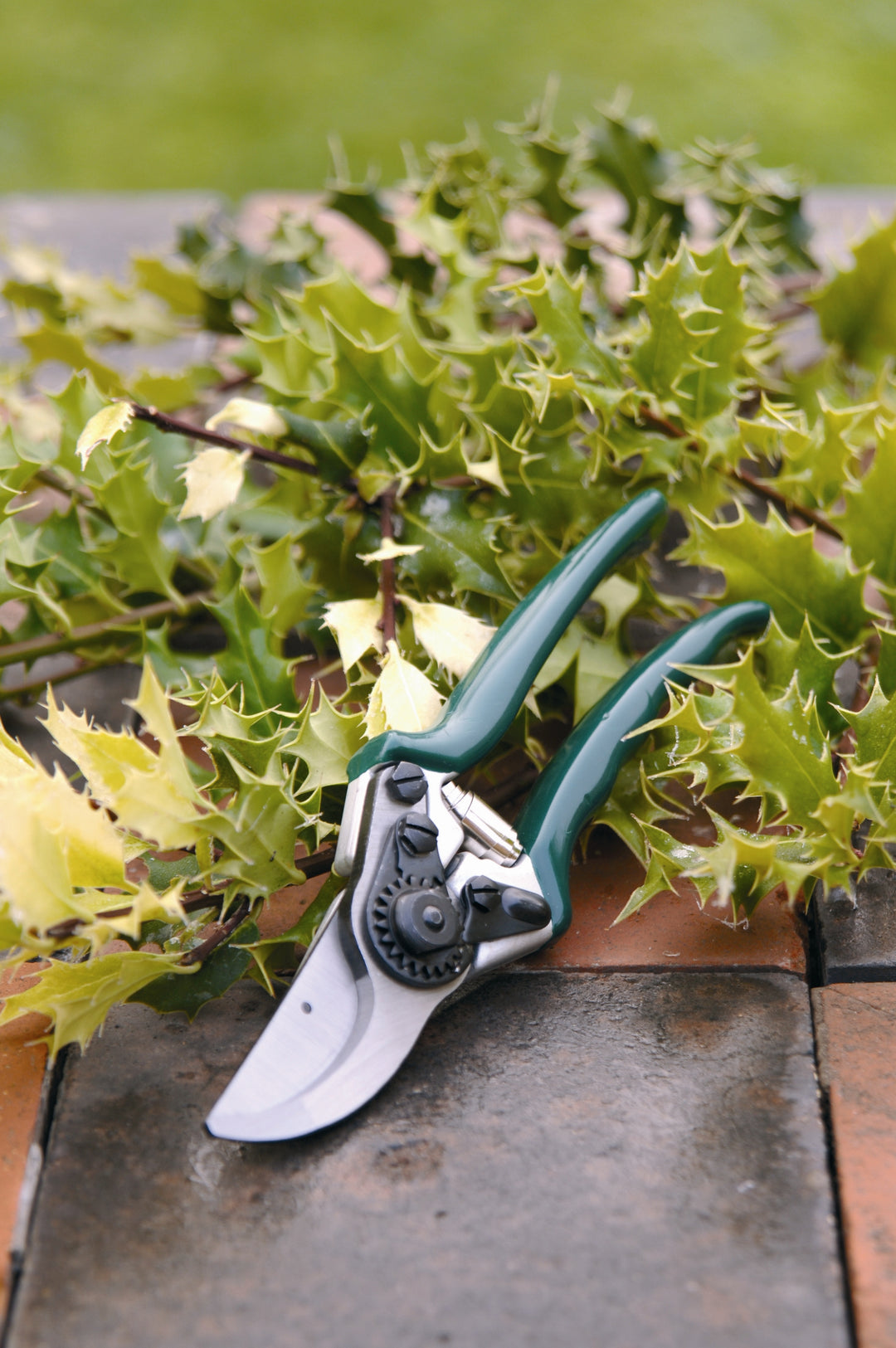 Burgon & Ball RHS Professional Bypass Secateurs