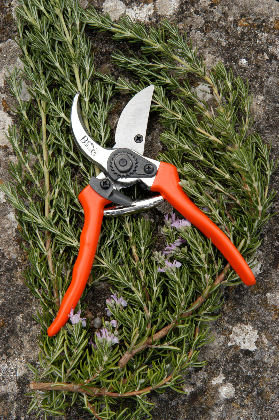 Burgon & Ball RHS Bypass Secateurs