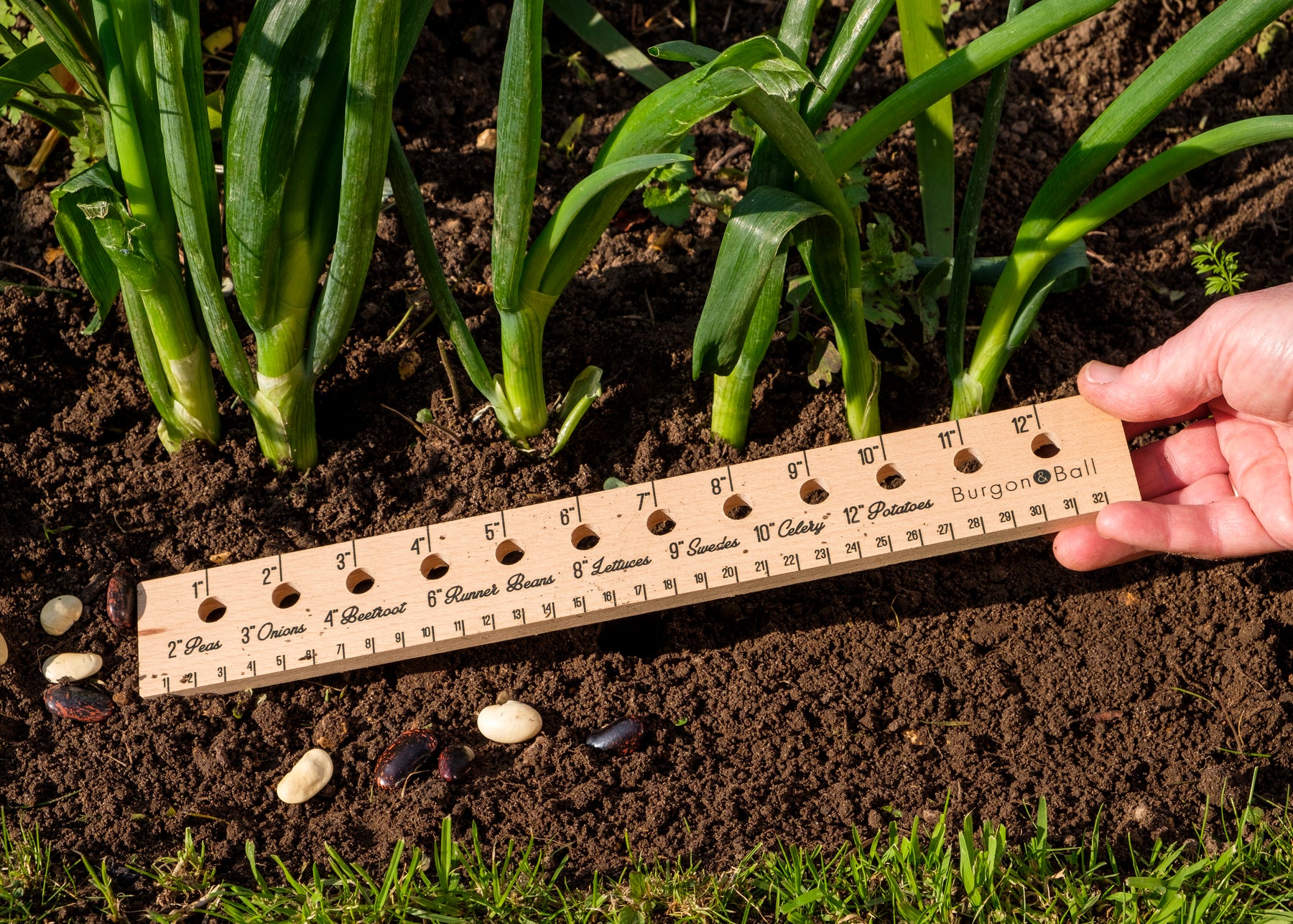 Burgon & Ball Planting Ruler | Garden Wildlife