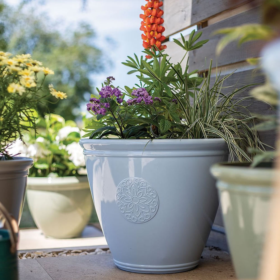 buy plant pots online uk Eden Emblem Planter