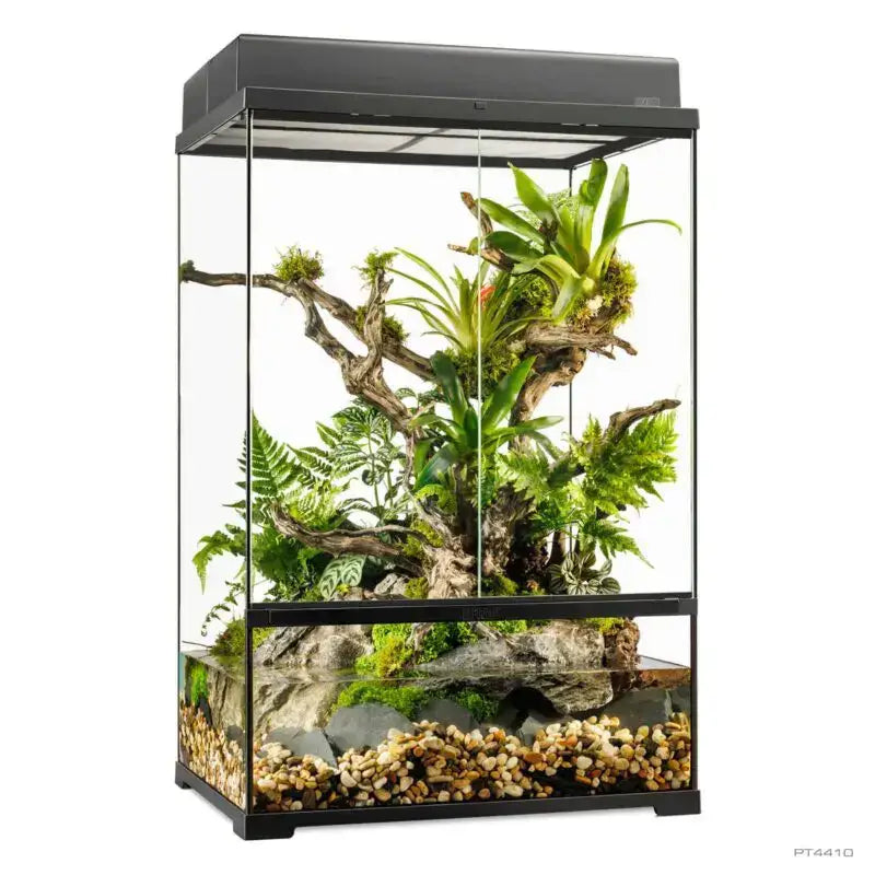 Exo Terra Pro Paludarium™ Medium X-Tall
