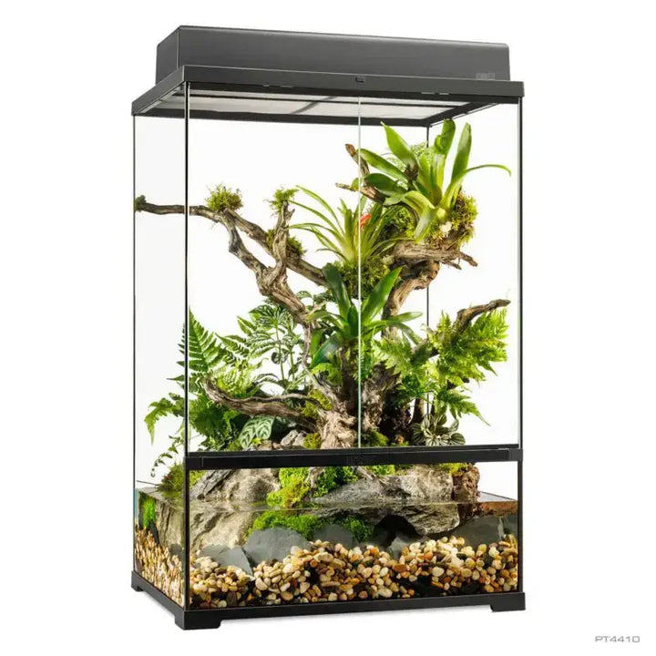 Exo Terra Pro Paludarium™ Medium X-Tall