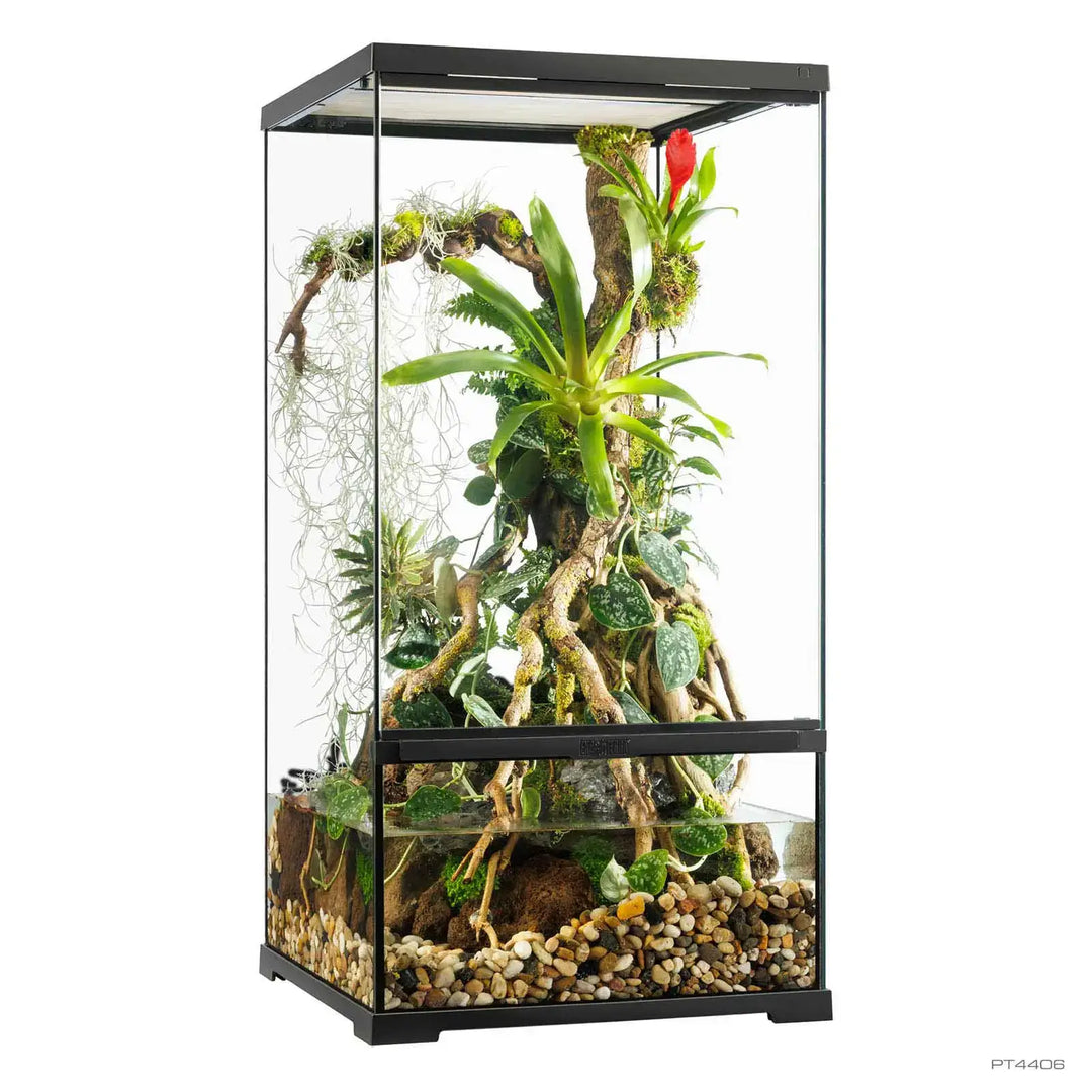 Exo Terra Pro Paludarium™ Small X-Tall