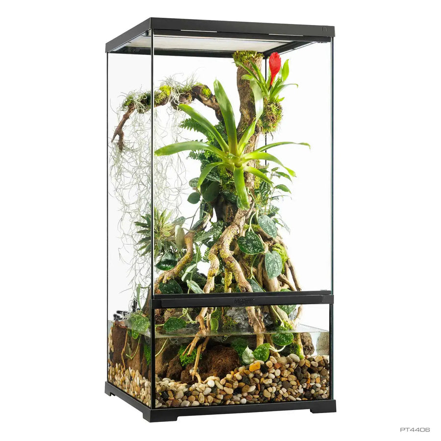 Exo Terra Pro Paludarium™ Small X-Tall
