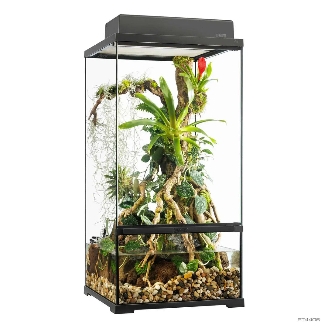 Exo Terra Pro Paludarium™ Small X-Tall
