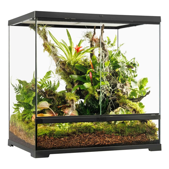 Exo Terra Pro Terrarium™ Medium Tall
