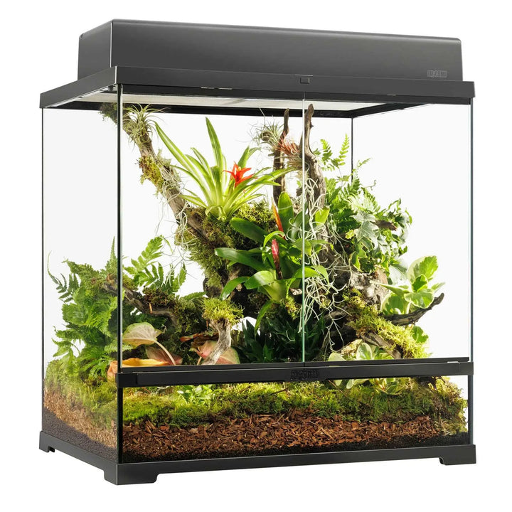 Exo Terra Pro Terrarium™ Medium Tall