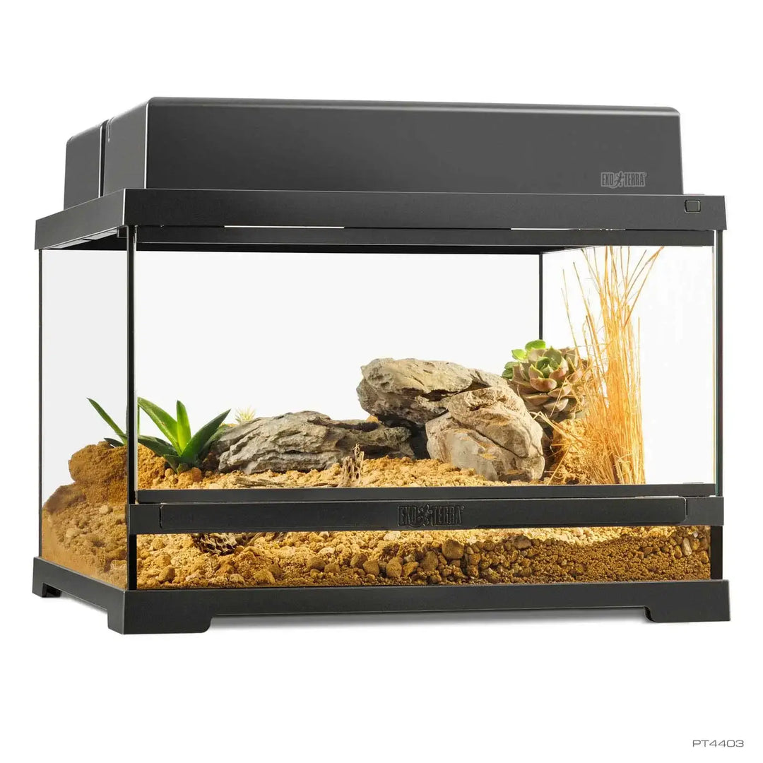 Exo Terra Pro Terrarium™ Small Low