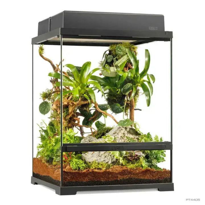 Exo Terra Pro Terrarium™ Small Tall