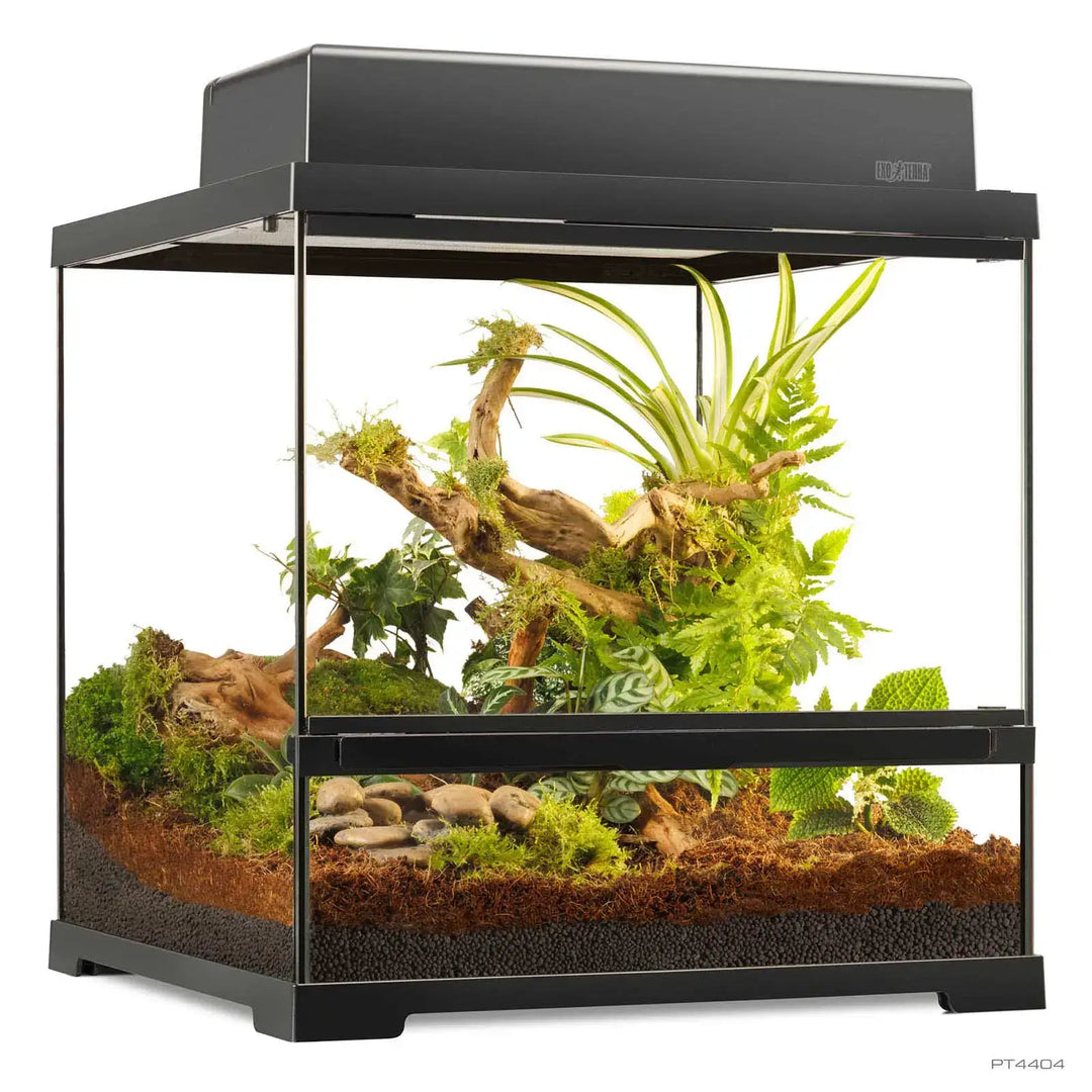 Exo Terra Pro Terrarium™ Small Wide