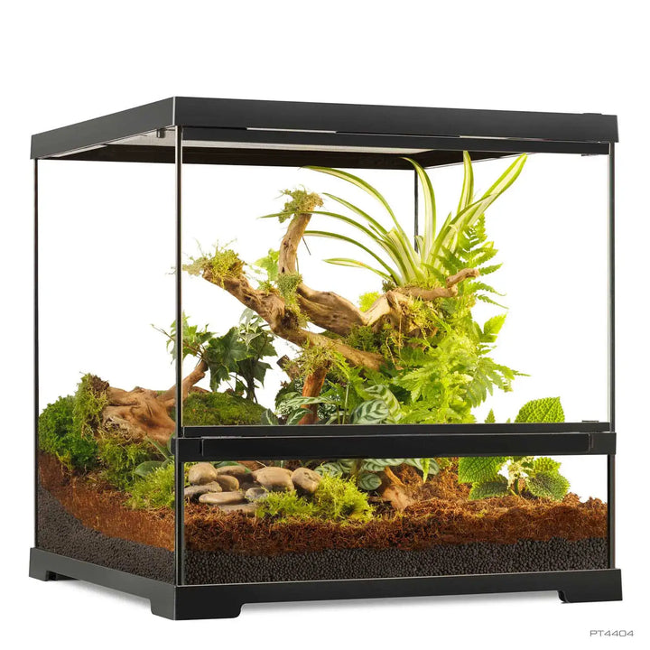 Exo Terra Pro Terrarium™ Small Wide