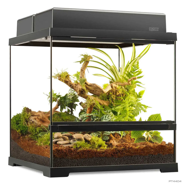 Exo Terra Pro Terrarium™ Small Wide