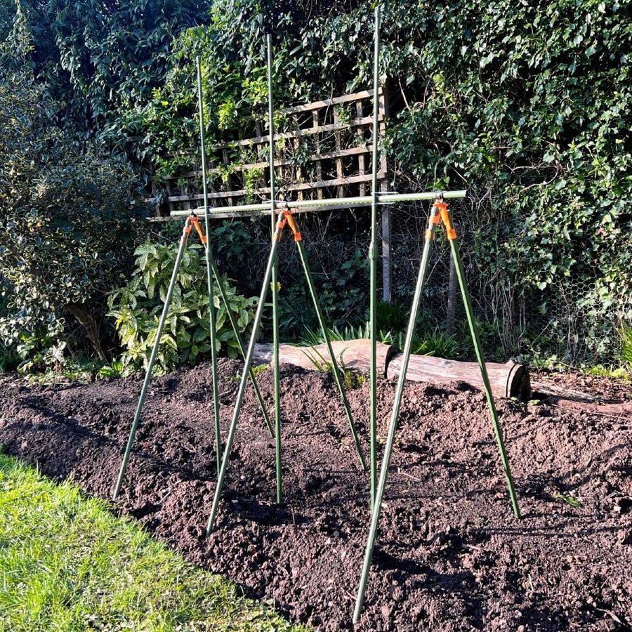 supporting tomato plants in grow bags Heavy Duty Tomato Cage & Extendable Plant Support Frame for Grow Bags Greenhouse & Raised Beds