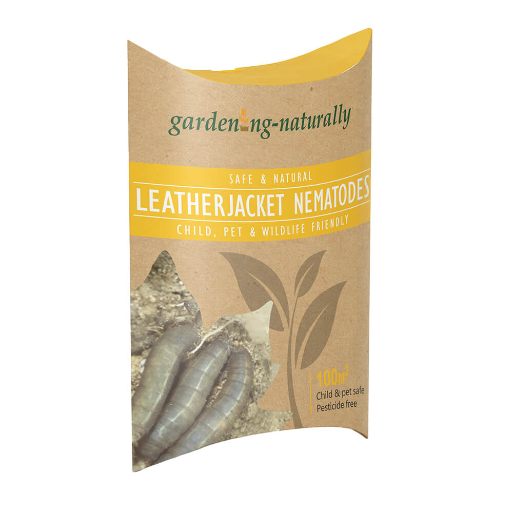 Gardening Naturally Leatherjacket Nematodes