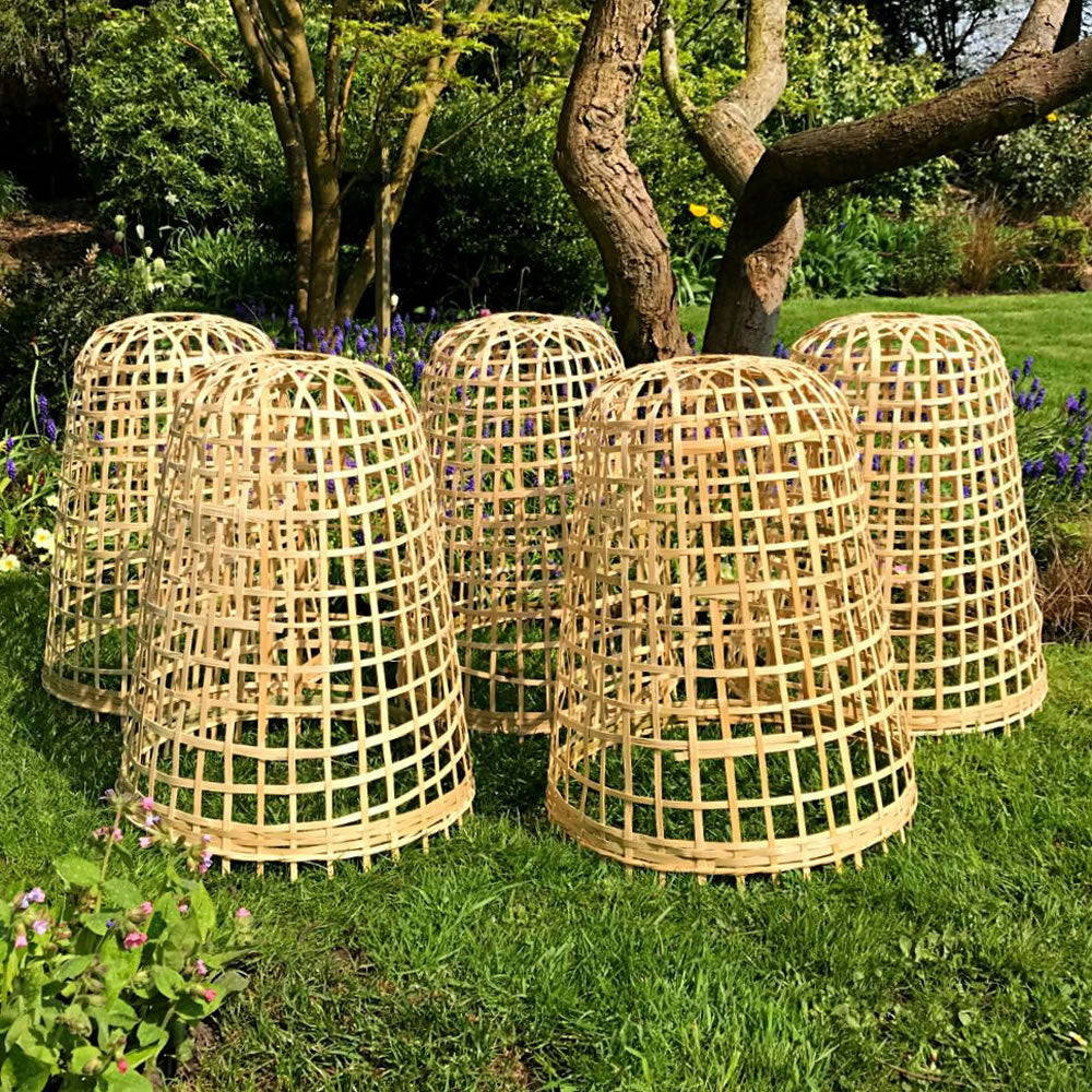 Bamboo Bell Cloche & Garden Plant Protection Cover - Medium