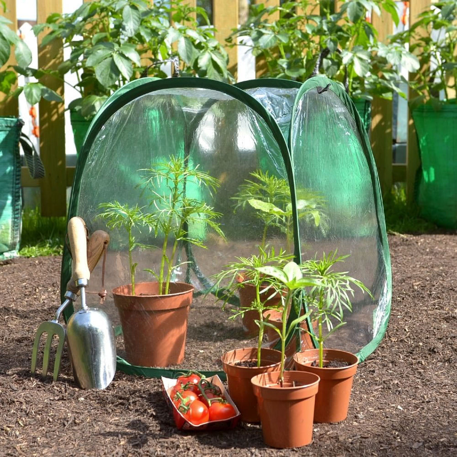 MiniPol Pop-Up Mini Greenhouse Plant Cover