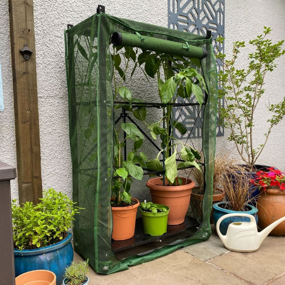 house plant covers Multiflex Net Patio Grow House & Plant Cover