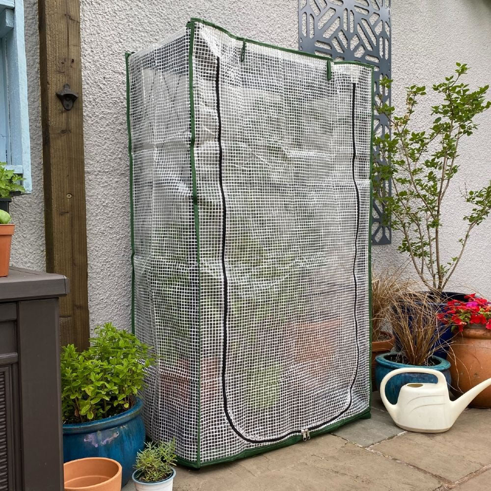 Multiflex Poly Patio Greenhouse & Plant Cover