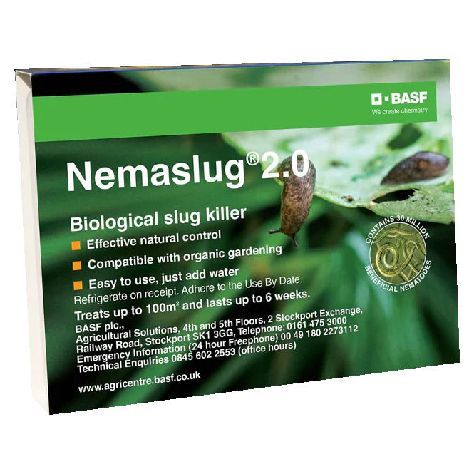 Buy Nemaslug 2.0 Biological Slug Killer (Parasitic Nematodes - Phasmarhabditis californica) online UK