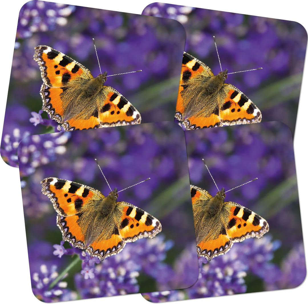 Tortoiseshell Butterly Coasters