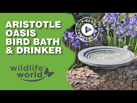 Wildlife World Aristotle Oasis Bath & Drinker
