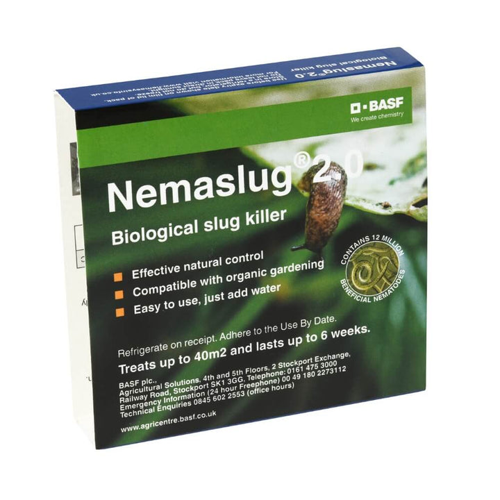 Nemaslug 2.0 Biological Slug Killer (Phasmarhabditis californica)