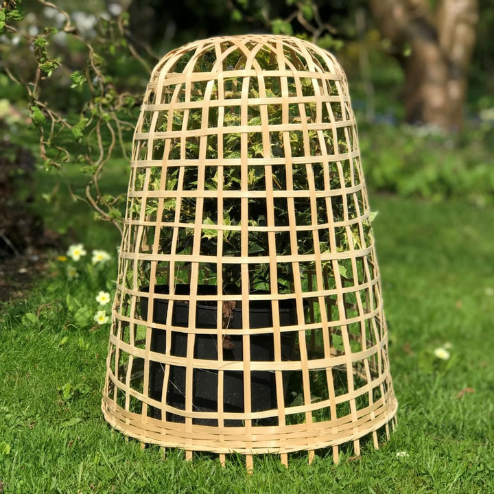 Bamboo Bell Cloche & Garden Plant Protection Cover - Small