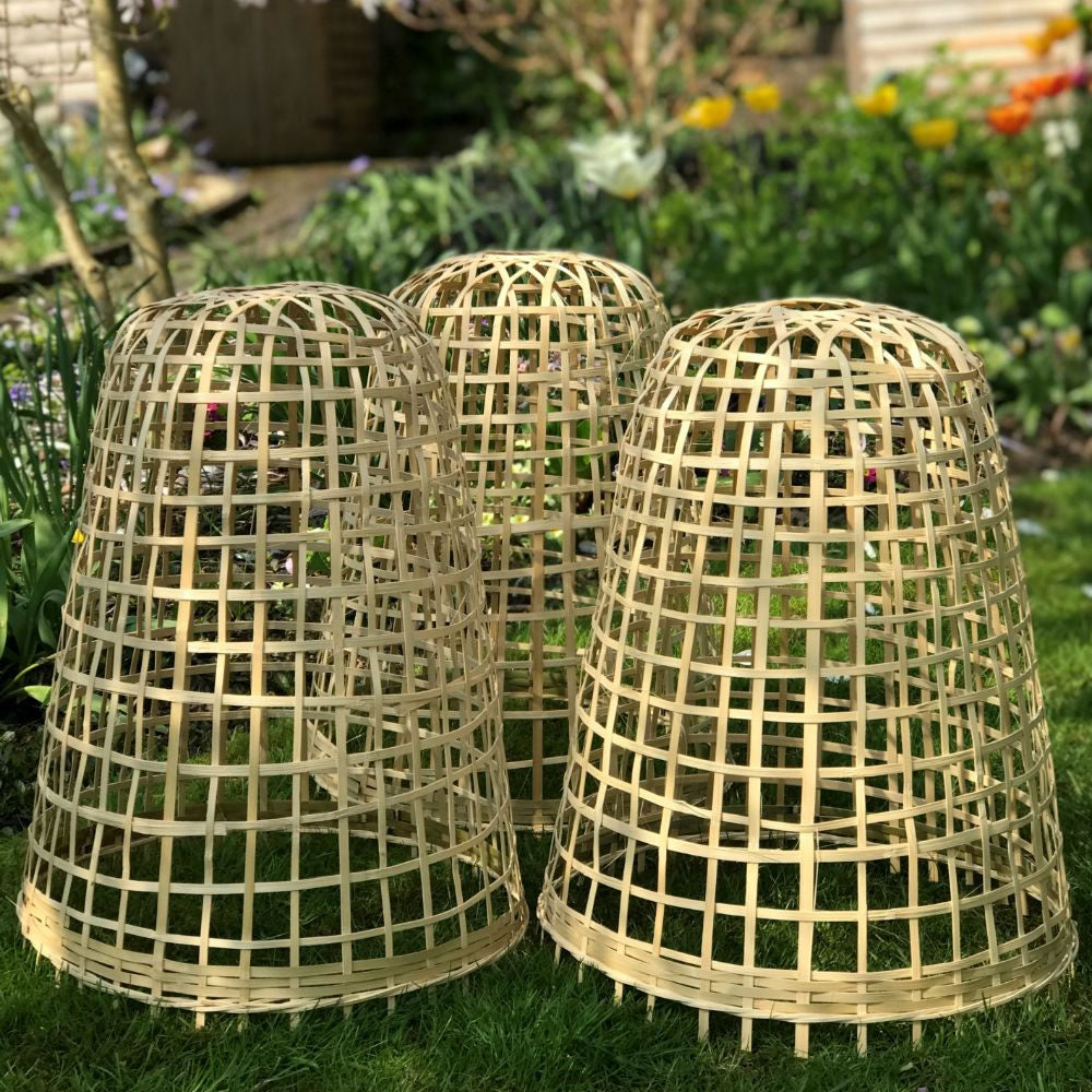 Bamboo Bell Cloche & Garden Plant Protection Cover - Small