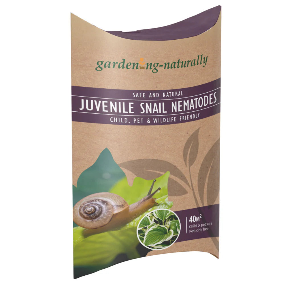 Gardening Naturally Snail Nematodes Packet