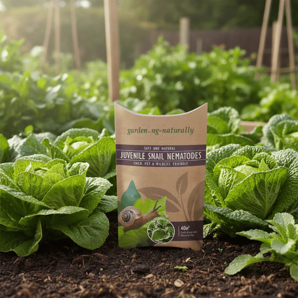 Gardening Naturally Snail Nematodes outside