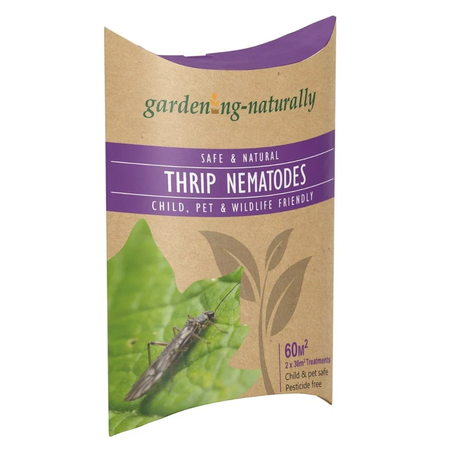 Thrip Nematodes (Thunder Flies) 2 x 30 sq.m - Front of packet