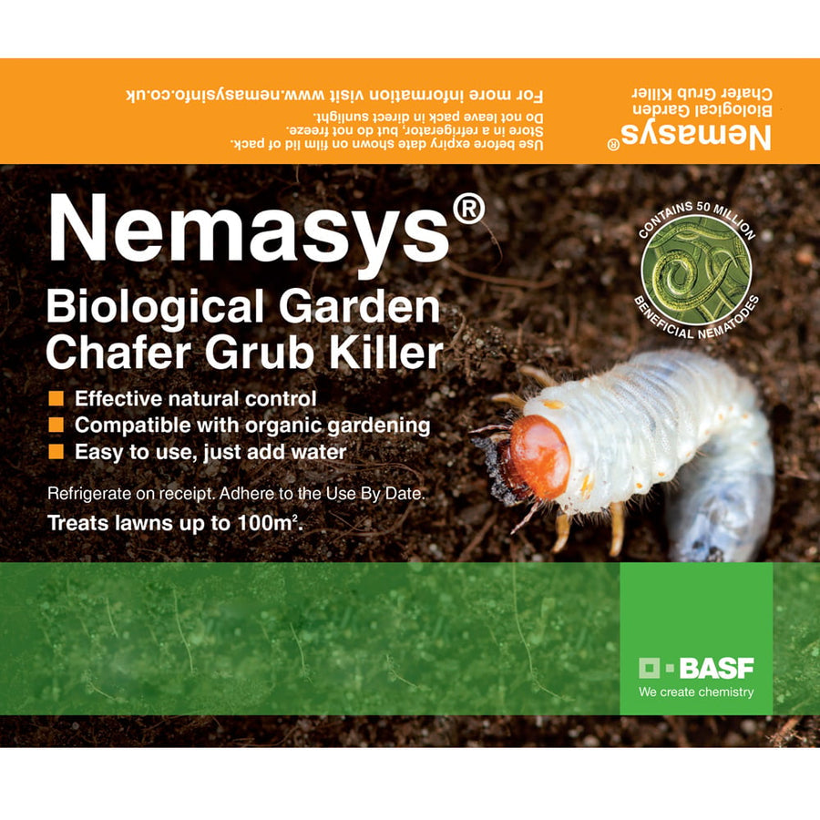 Chafer Nematodes