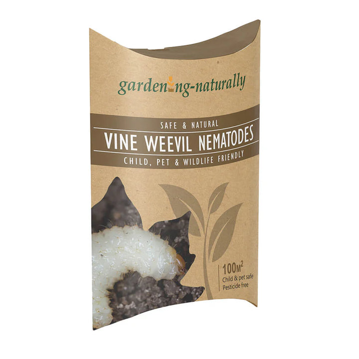 Gardening Naturally Vine Weevil Nematodes 100m2 front