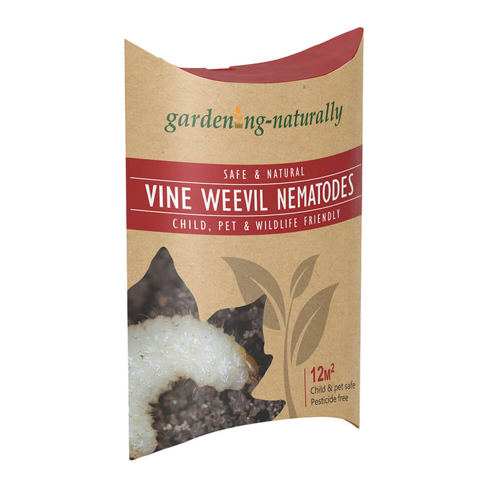 Gardening Naturally Vine Weevil Nematodes