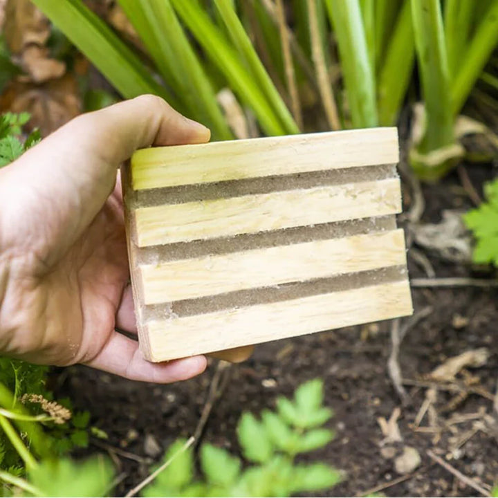 NemaTop Adult Vine Weevil Trap
 - holding a trap