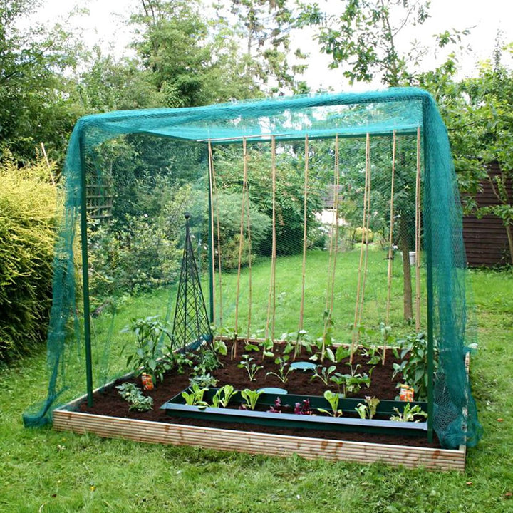 Walk In Heavy Duty Crop Cage & Plant Protection Grow House - without door