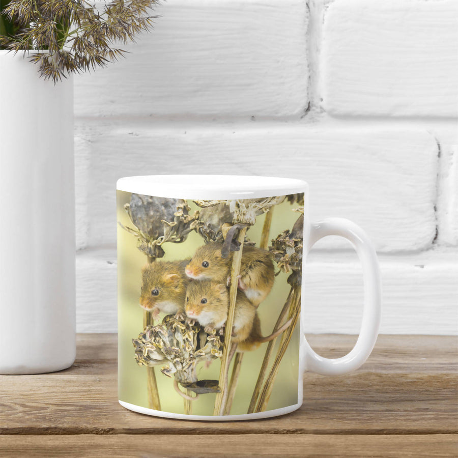 Three Harvest Mice Mug