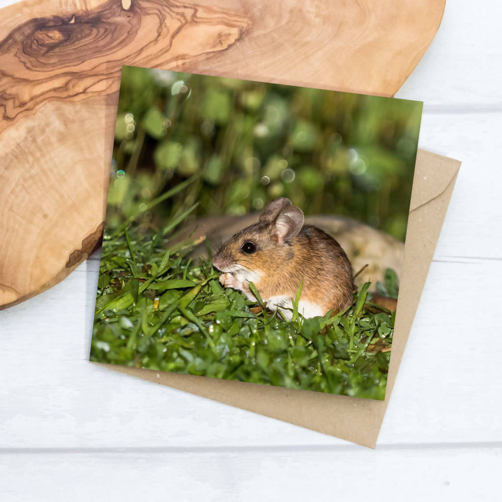 Wood Of Field Mouse Greeting Card