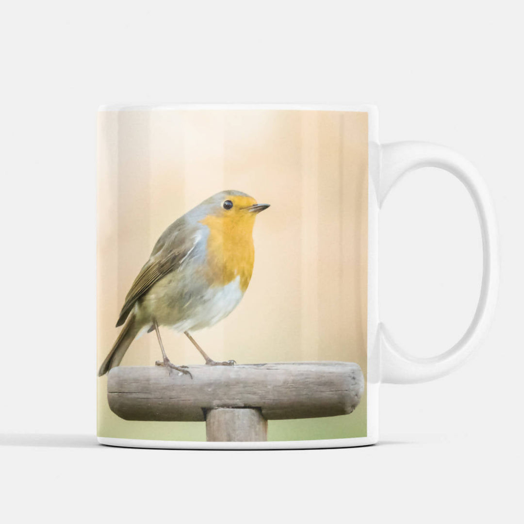 Robin Mug