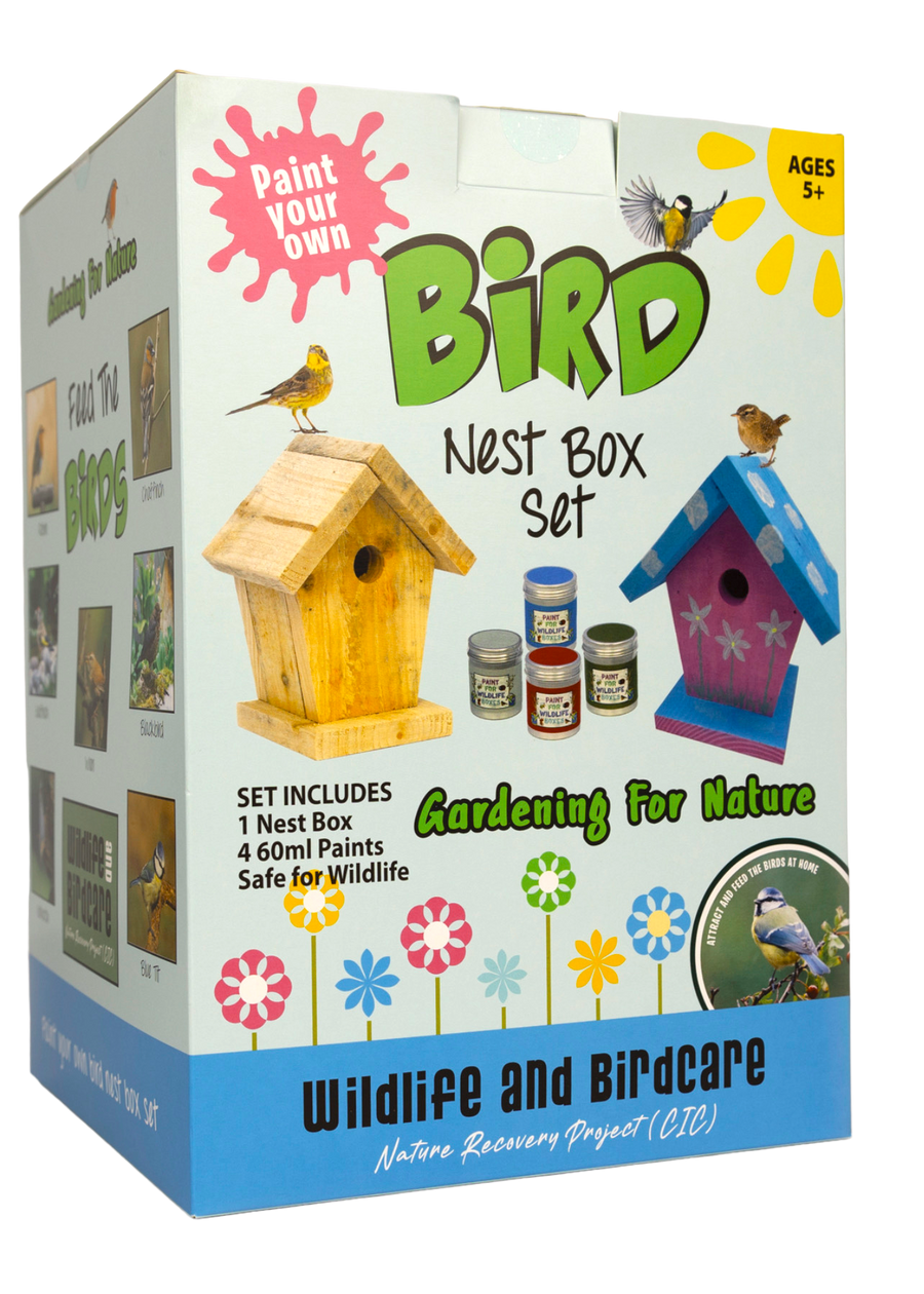 Paint your own Bird Nest Box