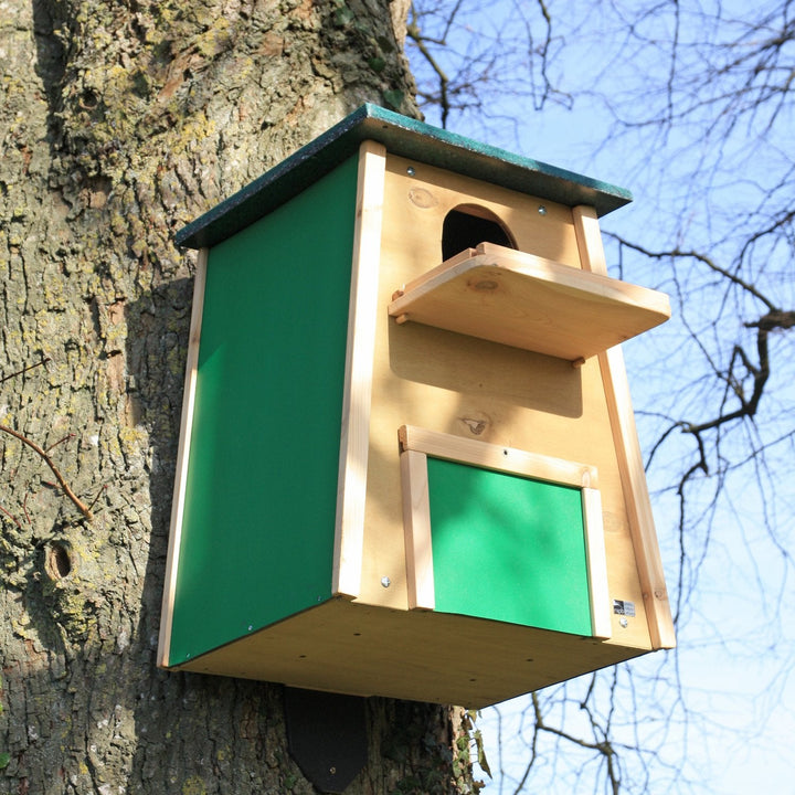 Wildlife World Flat pack Barn Owl Nest Box