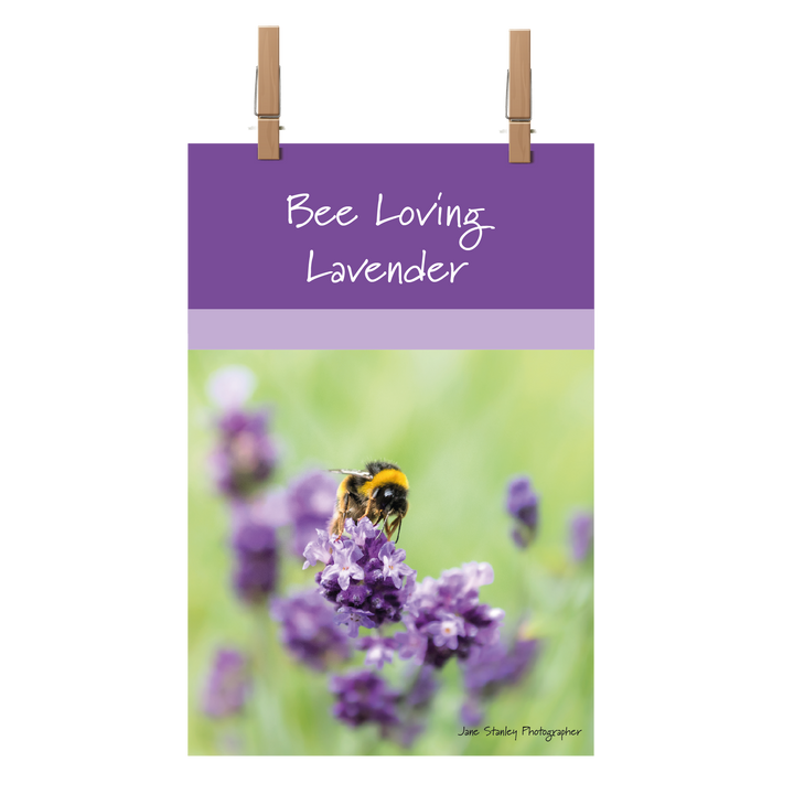 Bee Loving Lavender Tea Towel