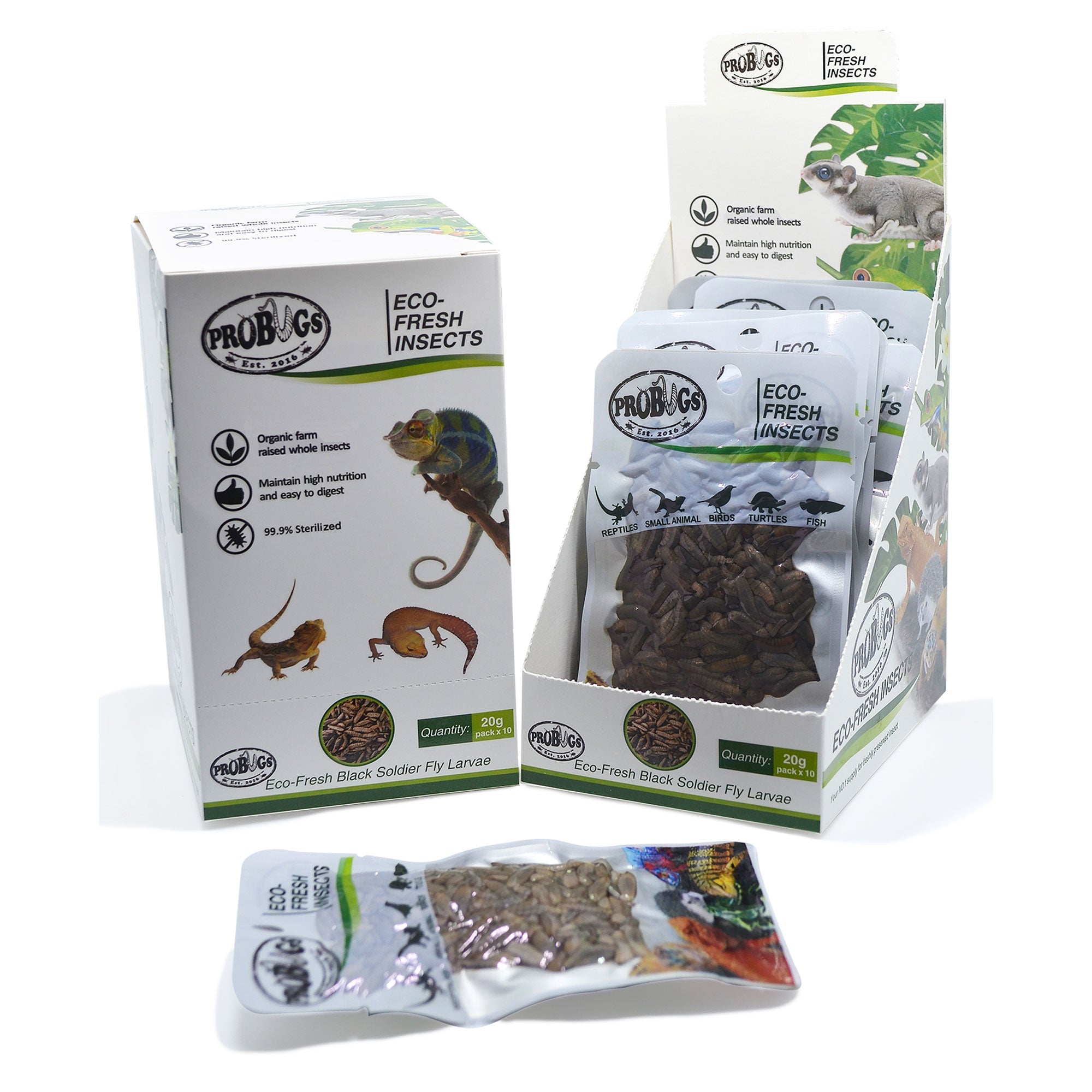 ProBugs Eco Fresh Black Soldier Fly Larvae 20g - 10 Packs | Garden Wildlife