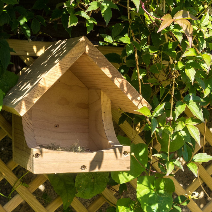 Wildlife World Blackbird Nest Box