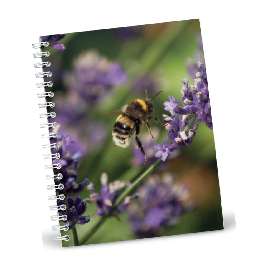 Bumblebee on Lavender A5 Notebook