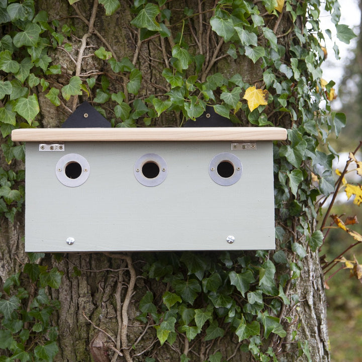 Wildlife World Conservation Sparrow Nest Box