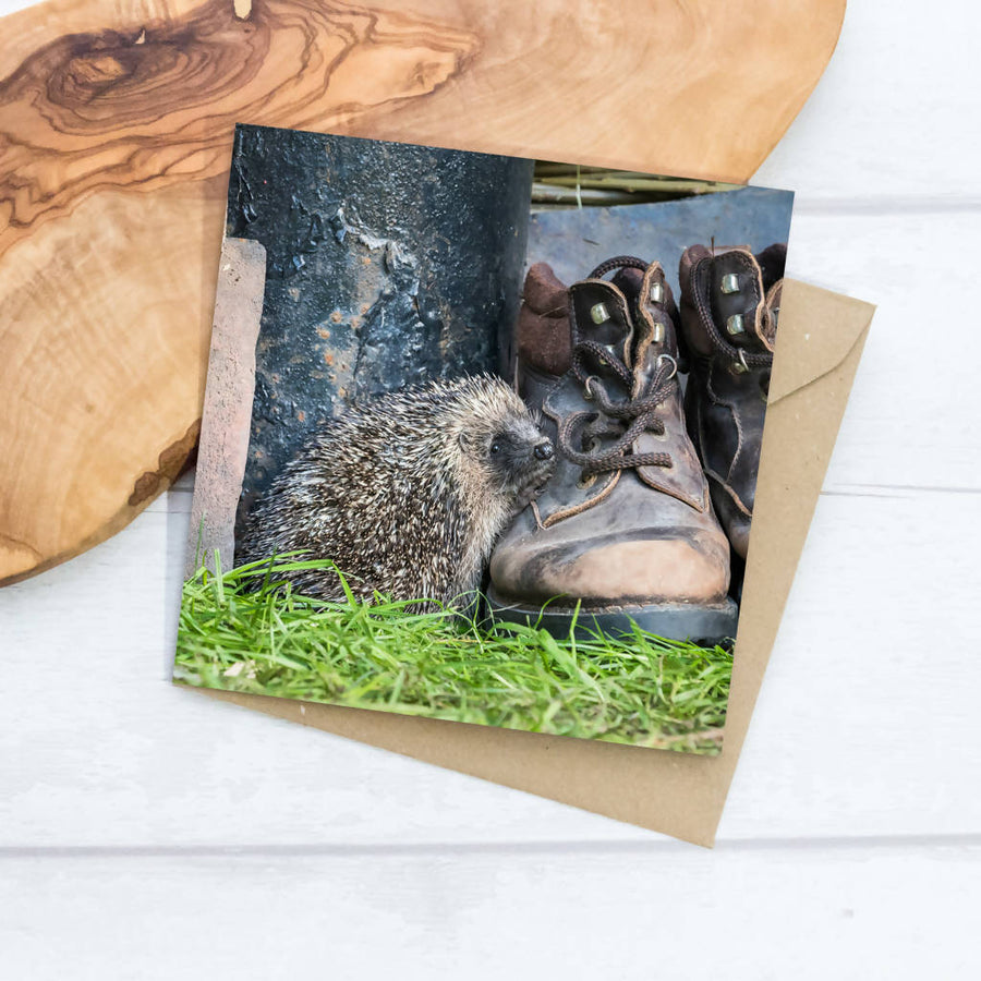 Hedgehog And Old Boots Greeting Card