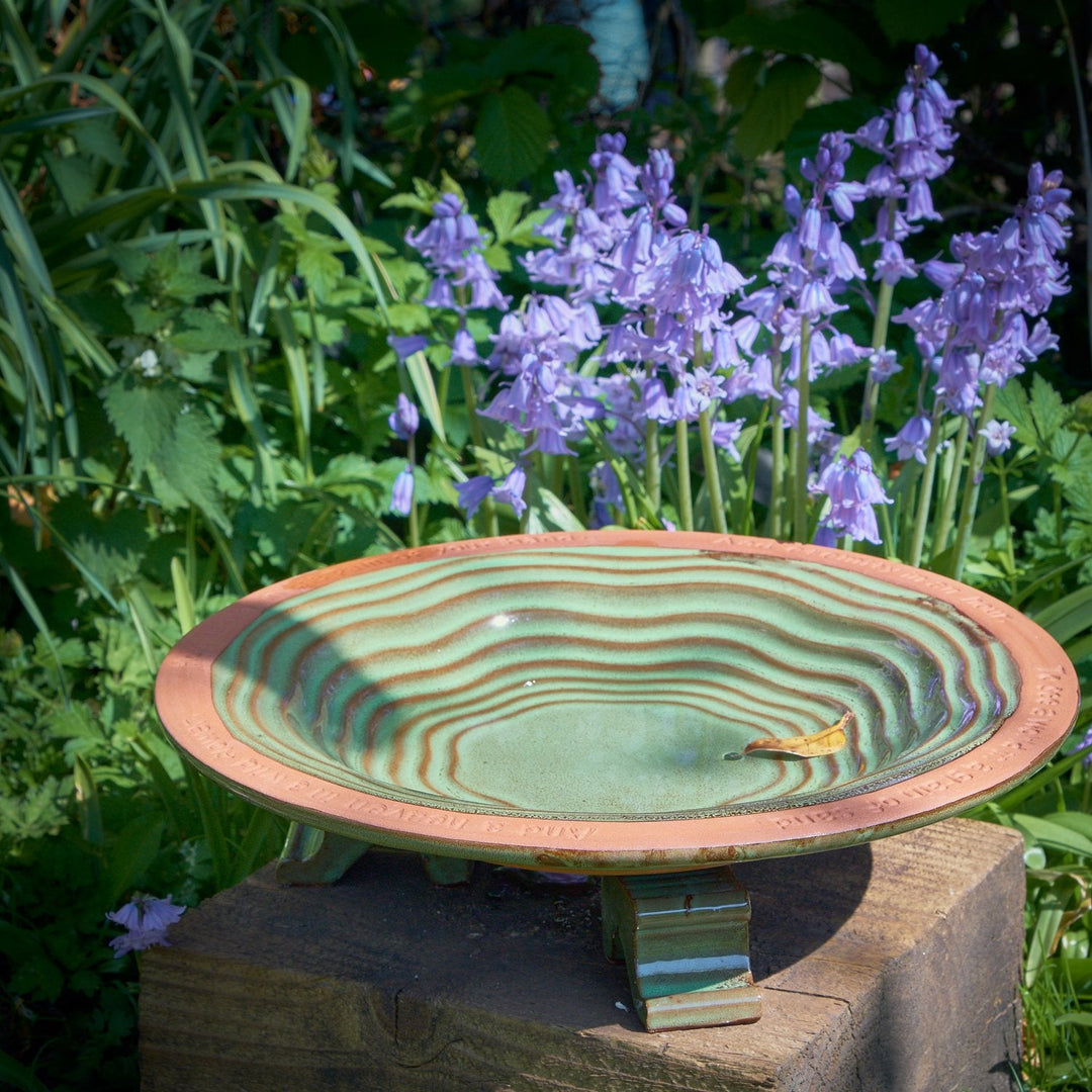 Wildlife World Echoes Bird Bath with 3 Glazed Feet