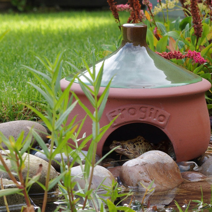 Wildlife World Frogilo Frog & Toad Home